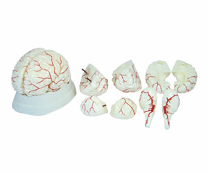 BioLab Products